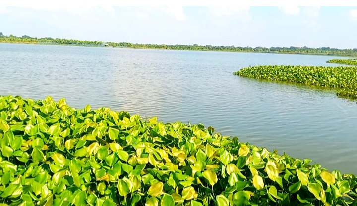 দূর্গাপুরে সরকারি জলাশয় দখলের অভিযোগ